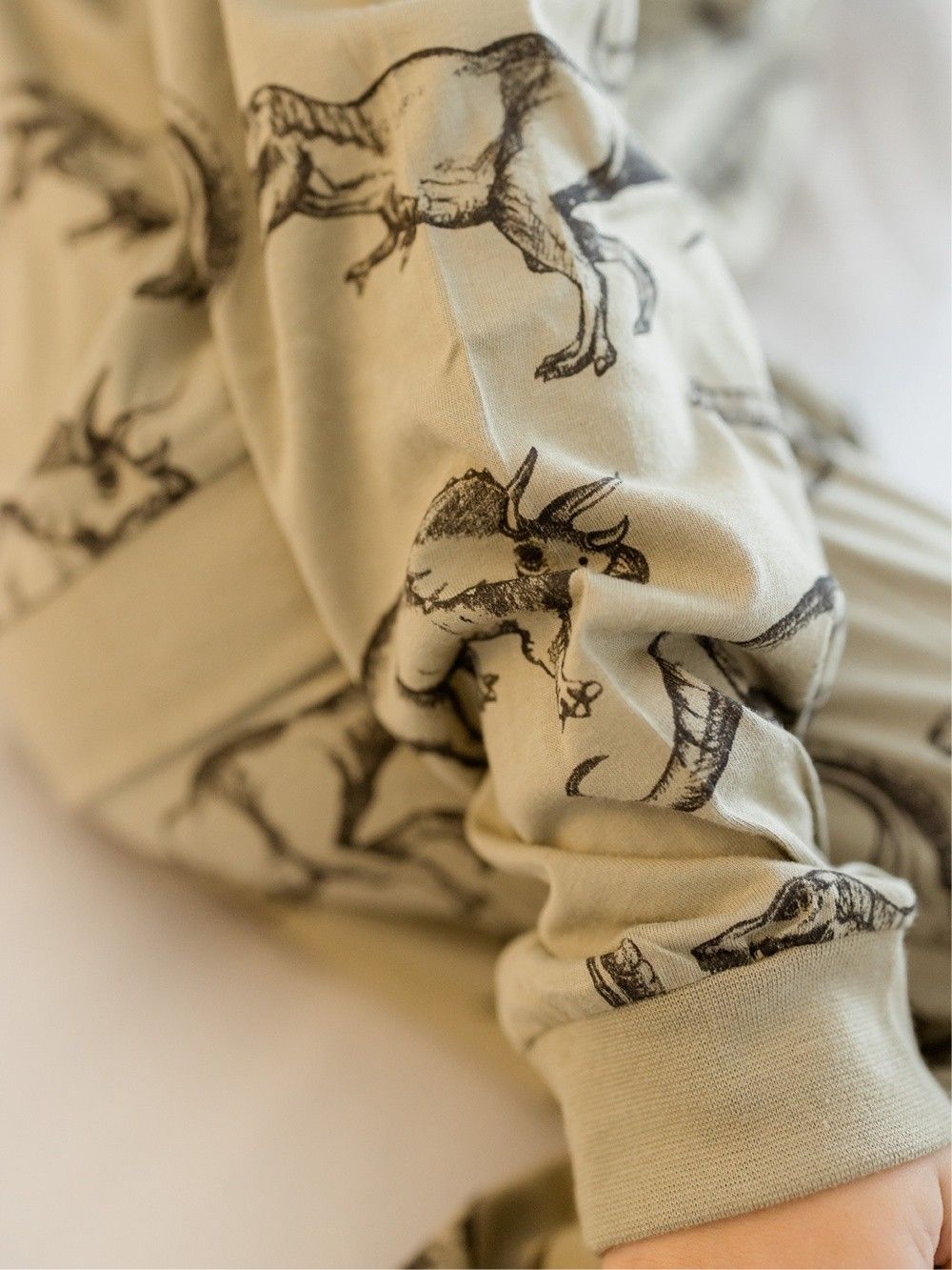 Pyjamas  DINOSAURUS