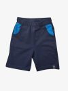Bermuda shorts print