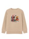 Boys' sweatshirt BASKET BEAR