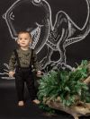 Set DINO